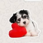 Marie Max - @marie.max.71271 - Instagram