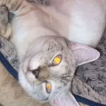 marie alice - @marie.alice.mcafee - Instagram