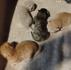 Marie Macafee - Facebook