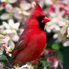 Mary McBee - @mary.mcbee4 - TikTok