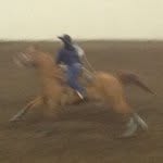 Lyla Marie Mccarter - @horse_back_pride - Instagram