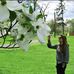 Mary McComas - Facebook