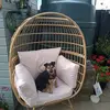 Marie McCormack - @marie.mccormack3 - TikTok