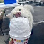 Mika Marie McCurdy - @magnificent_mika - Instagram