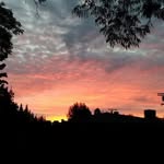 Marie Thompson McDevitt - @mcdevitt.marie57 - Instagram