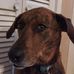 Marie McGraw - Facebook