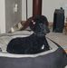 Marie McLeod - Facebook