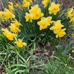 Marie McLeod - @garron1954 - Instagram