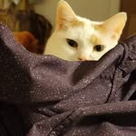 Amy Marie McNabb - @whisperthunder - Instagram
