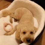 Marie Mcnerney - @marie.mcnerney - Instagram