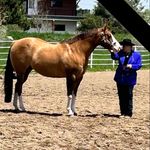 Ann Marie McNulty Trujillo - @mcnultytrujillo - Instagram