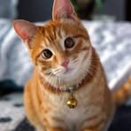 Marie Mcnulty - Facebook