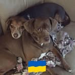 Marie McNulty - Facebook
