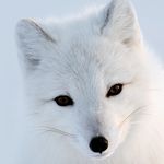 Marie McNulty - @thewildhouseni - Instagram