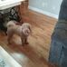 Marie Mcphee - Facebook