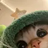 𝒎𝒂𝒓𝒊𝒆𝒆 ☆ - @mechamomarie - TikTok