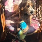 Marie Merrick - Facebook