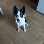 Schmit Marie - @marie__micky - Instagram