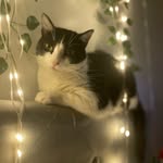 Marie & Milo - @marie_and_milo - Instagram