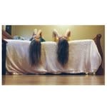 Brittney Marie Minder - @brittney_marieeee - Instagram