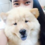 @mrnrqz PUPPY-FINDER PH - @marieminders - Instagram
