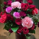 Marie Dinia Mompoint - @doune.509 - Instagram