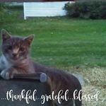Jane Marie Mosher - @janemariemosher - Instagram