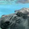 Tamera Marie Mosher - @tamera.marie.mosh - TikTok