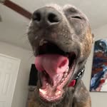 Millie marie Munson - @millie.marie.munson - Instagram