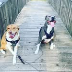 Marie Murillo - @tux_sully - Instagram