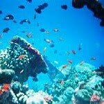 ☆Marine Biology Study Center☆ - @marienee_study01 - Instagram