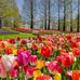 Marie Nester - Facebook