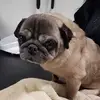Marie Norman - @marie.norman2 - TikTok