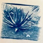 marienowicki - @marienowicki - Instagram