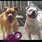 Marie Oneill - Facebook