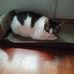 Marie Ong - Facebook