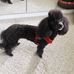 Mary Ostrander - Facebook