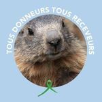 Marie Papillon - @mariepapillon130 - Instagram