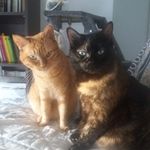 Marie Papillon - @marie.papillon7438 - Instagram