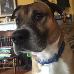 Donna Marie Pappas - @jpstinky - Instagram