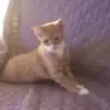 Marie france Pare - @marie.france.pare - TikTok