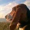 marievandepasch - @marievandepasch - TikTok