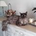 Marie Patrick - Facebook