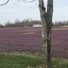 Marie Patrick - @marie.patrick8 - TikTok
