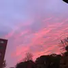 Marie Paye - @marie.payee - TikTok