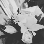 Marie Payet - @marie.payet.9889 - Instagram