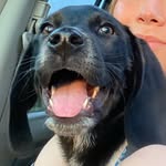 nala marie pendleton - @nala_grapes - Instagram
