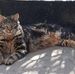 Marie Odile Perrier - Facebook