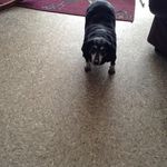 Marie Plunkett - @oldbatmarie - Instagram