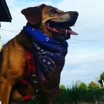 Marie Polk - @polknbeans87 - Instagram